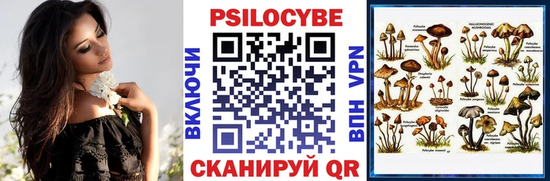 Псилоцибиновые грибы Magic Shrooms  Северская 