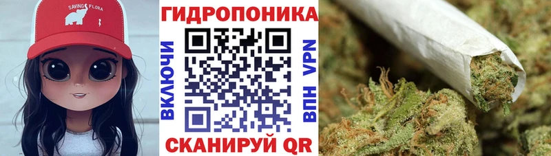 гидра сайт  цены   Северская  дарк нет как зайти  Бошки Шишки OG Kush 